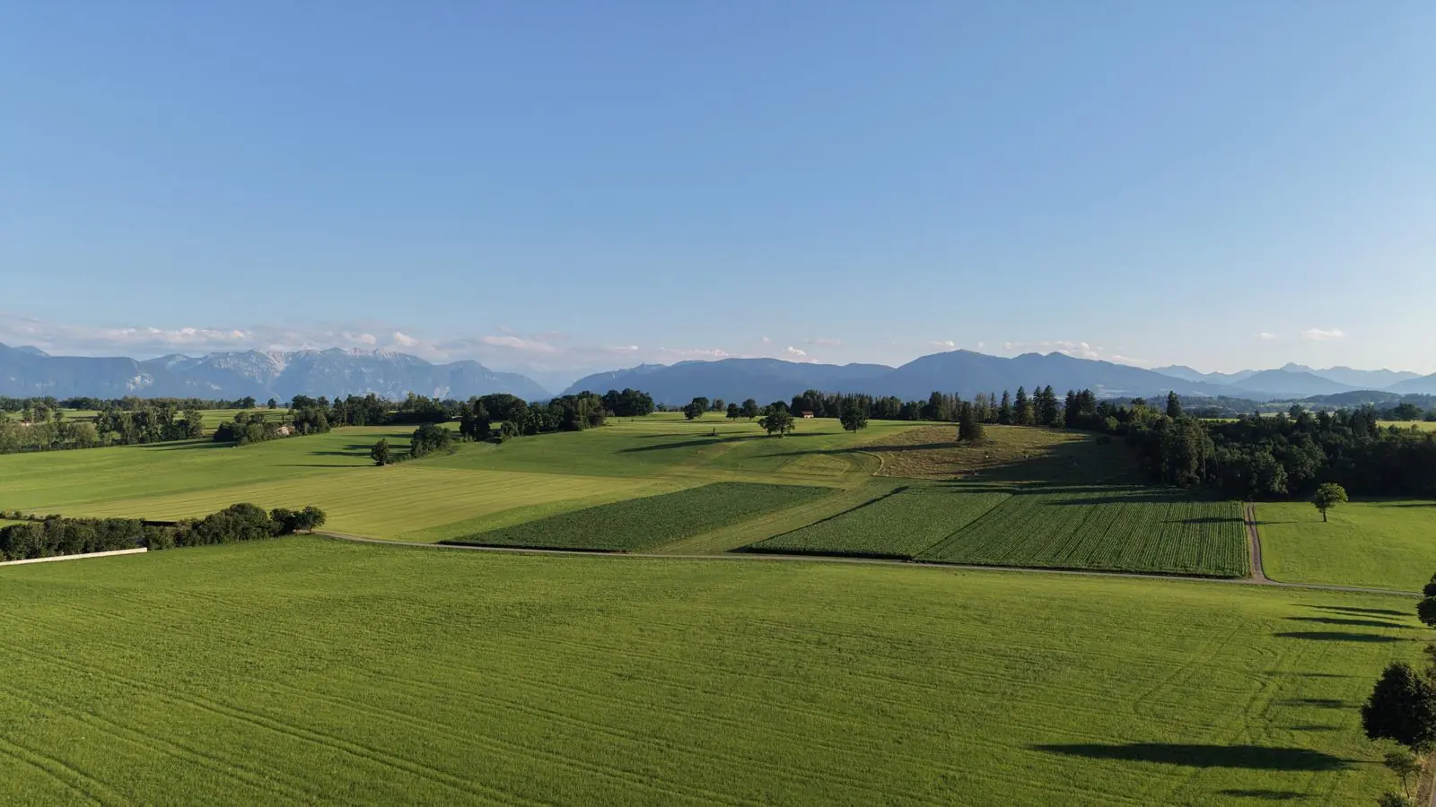 Weiter Blick über Wiesen und Felder des Voralpenlands, dahinter die Kette der Alpen.